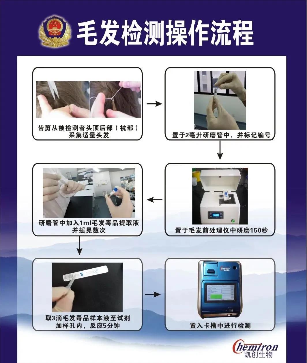 凱創毛發毒檢測流程